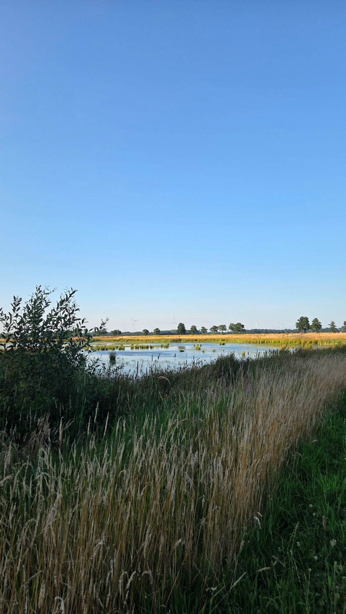 Gasselte - De Branden