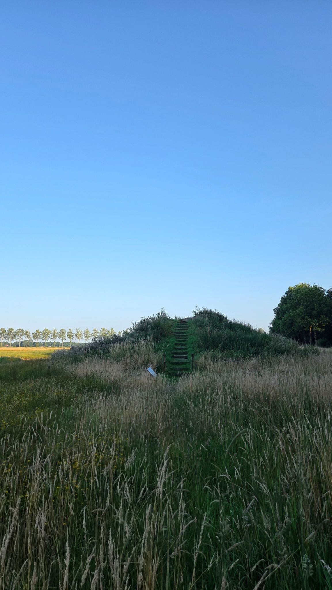 De Branden