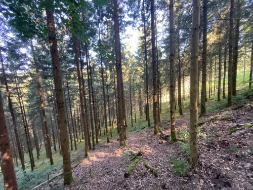 Le Roche de Saloru