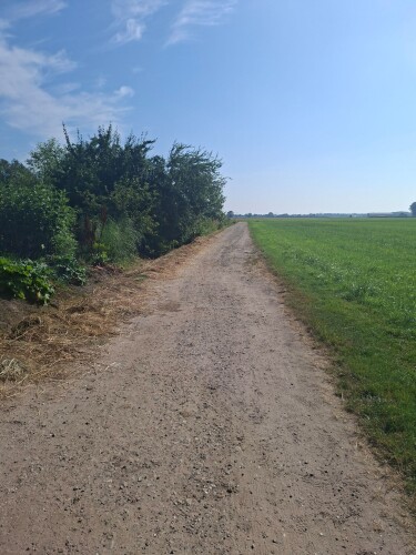 Boskamp - Groen