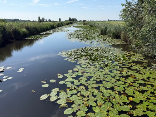 Wandelen door de middeleeuwen bij Wilnis