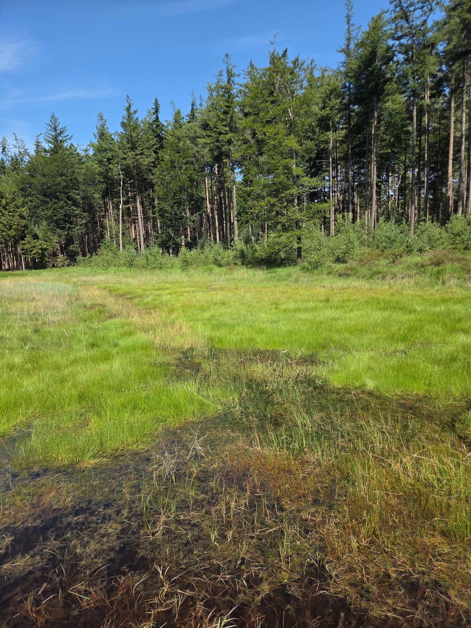 De Wilp - Wijnjewoude · Bonifatius Kloosterpad etappe 6