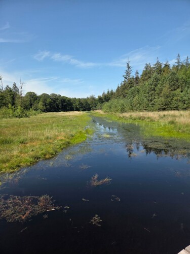 Knopenrondje Bakkeveen