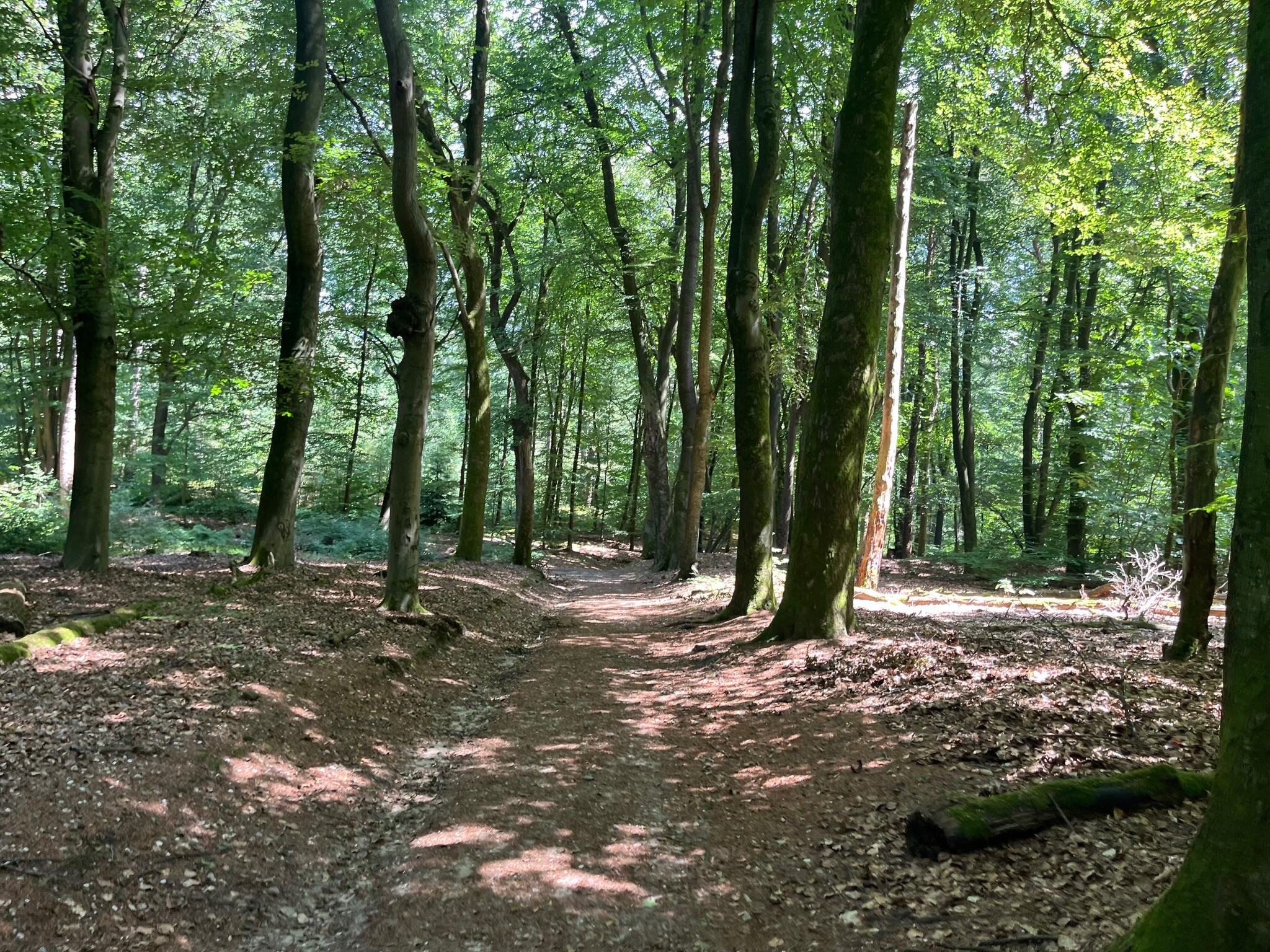 Doorwerth