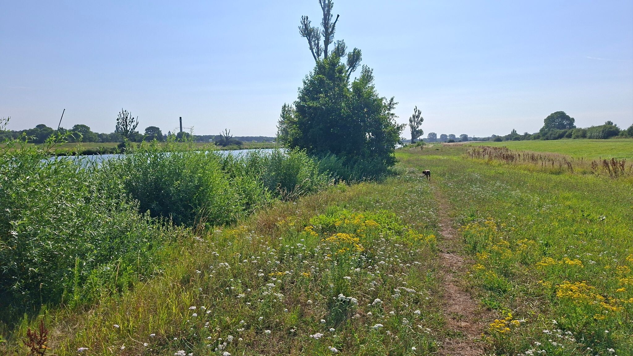Wandelroute laarzenpad Sint Agatha