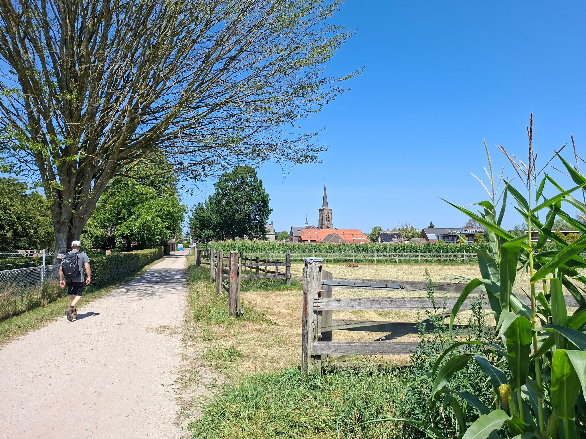 Vessem