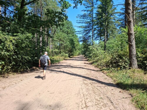 Veldhoven-dorp - Wintelre · Camino Brabant etappe 6