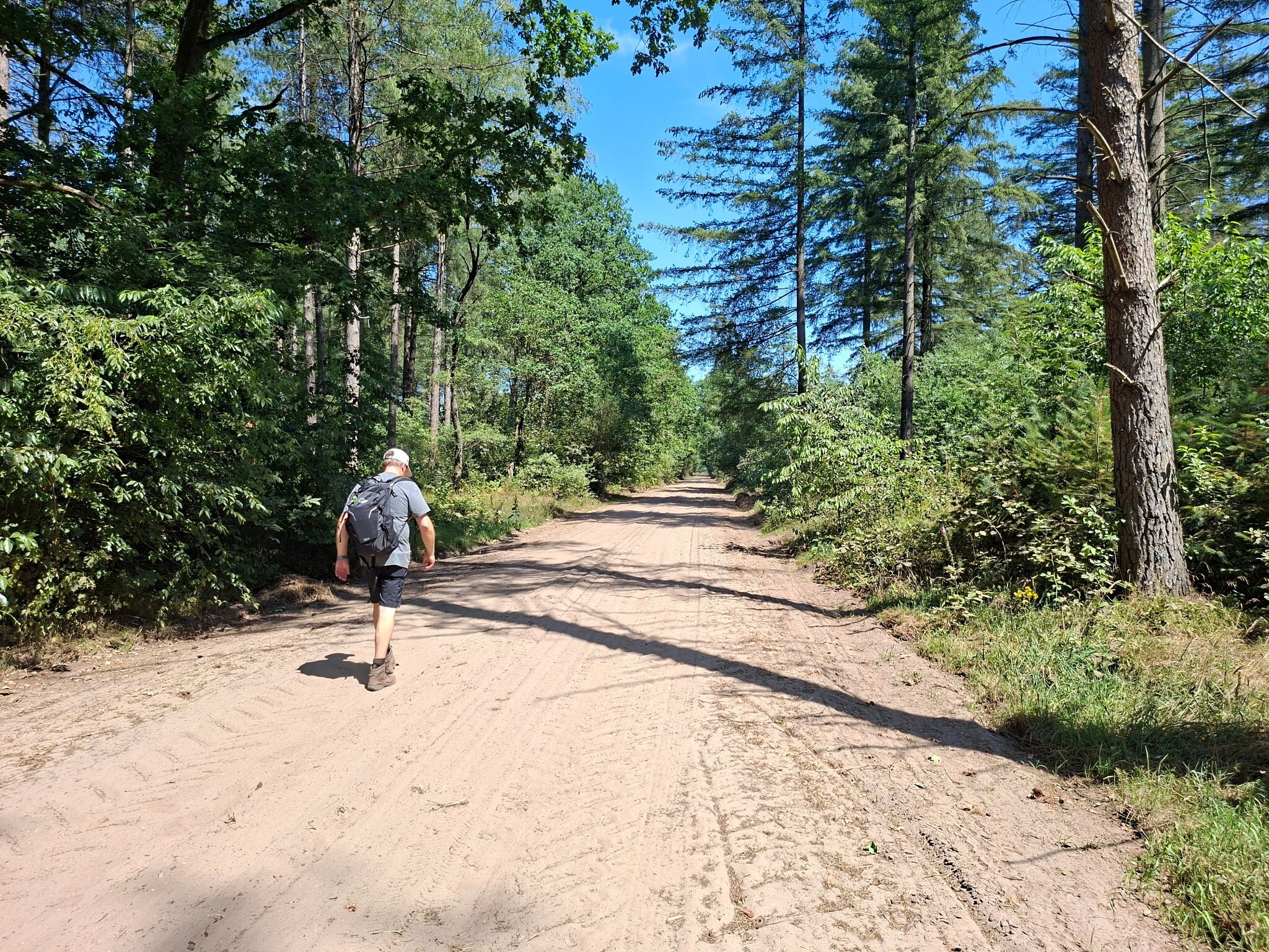 Vessem