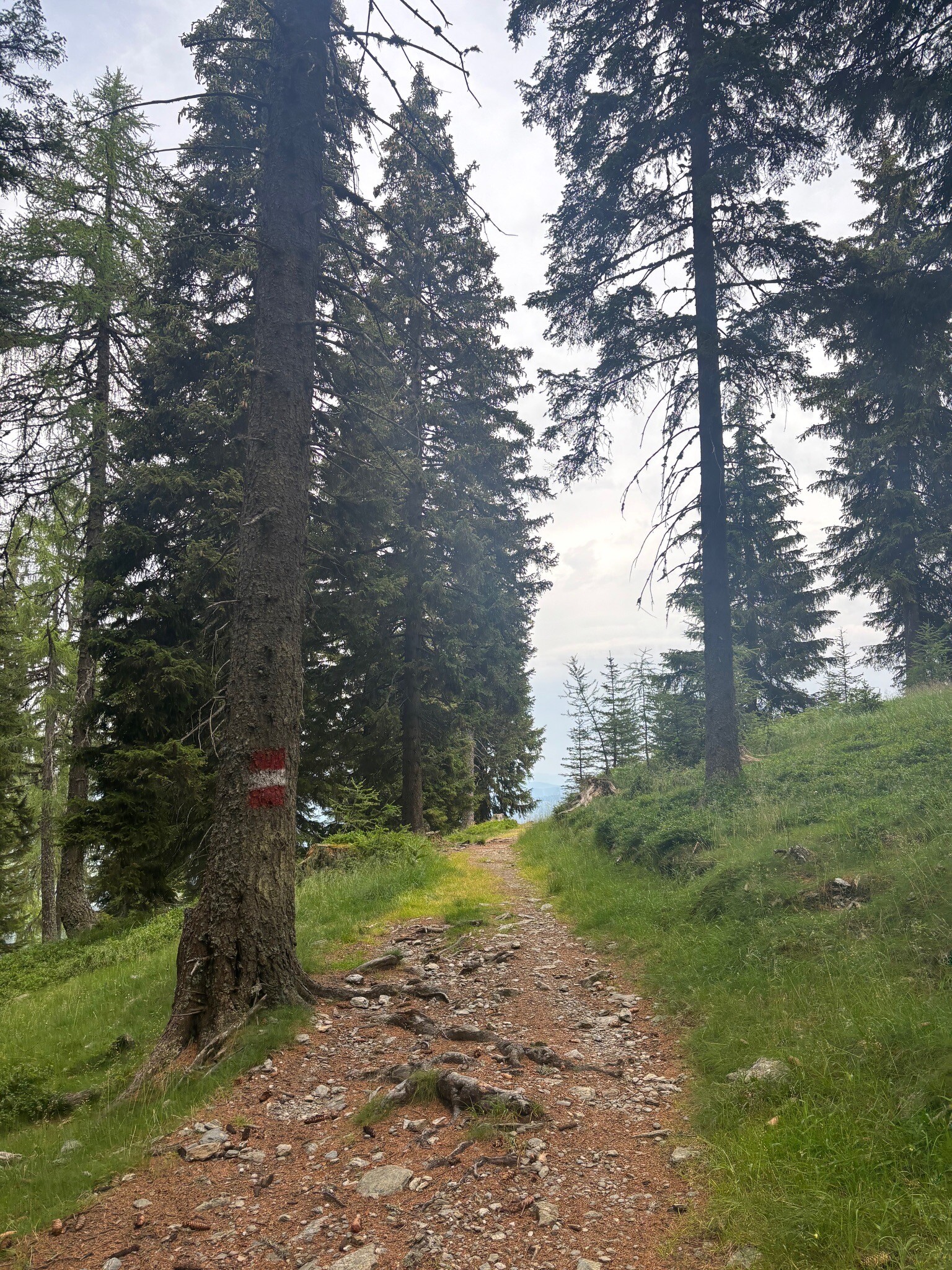 Gerlitzen Gipfel - Almseehutte