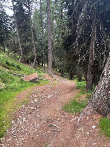 Gerlitzen Gipfel - Almseehutte