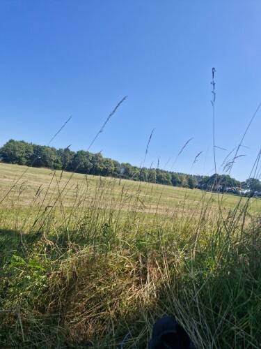 Zelhem - Braamt · Pieterpad etappe 15