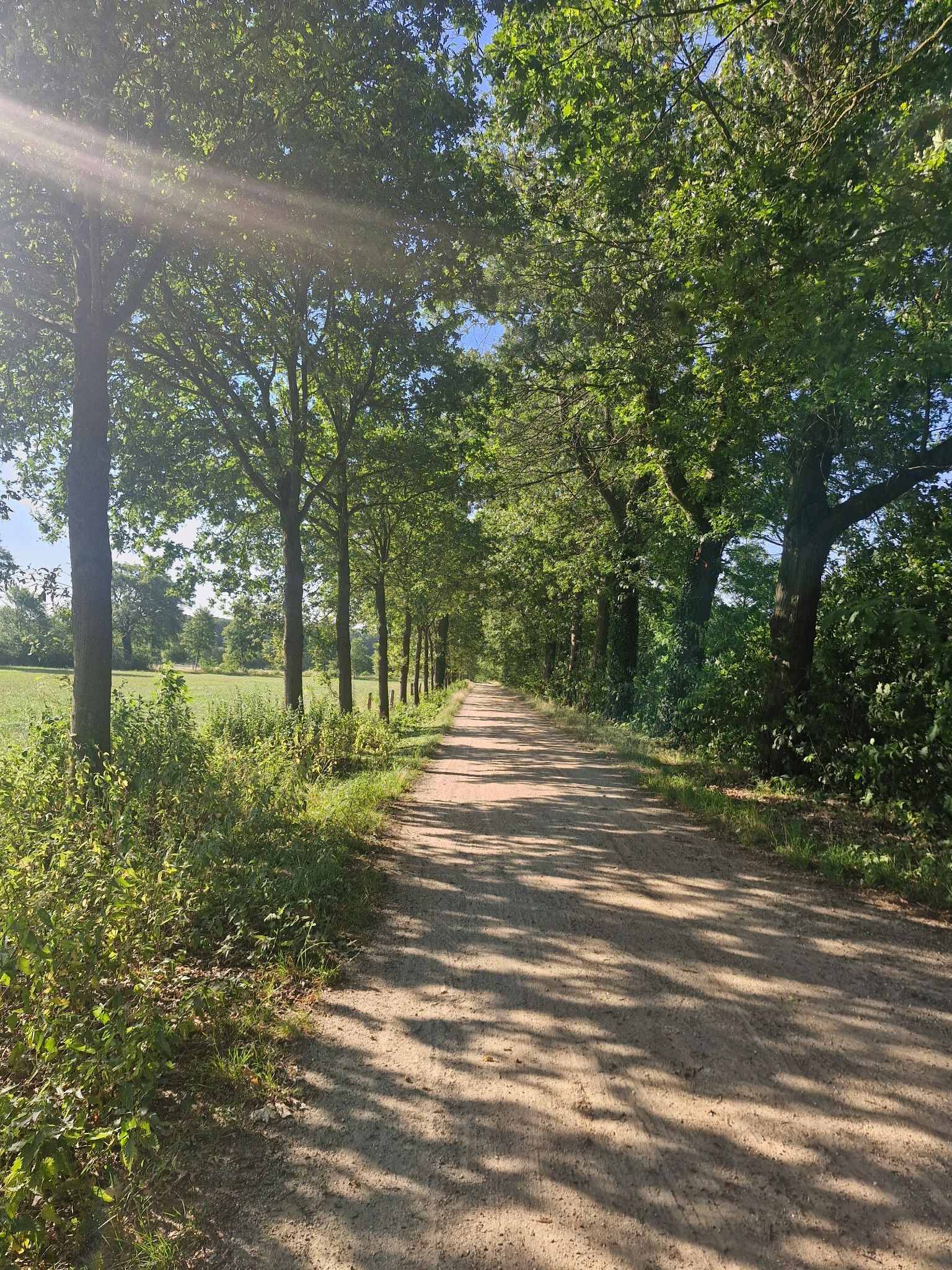 Zelhem - Braamt · Pieterpad etappe 15