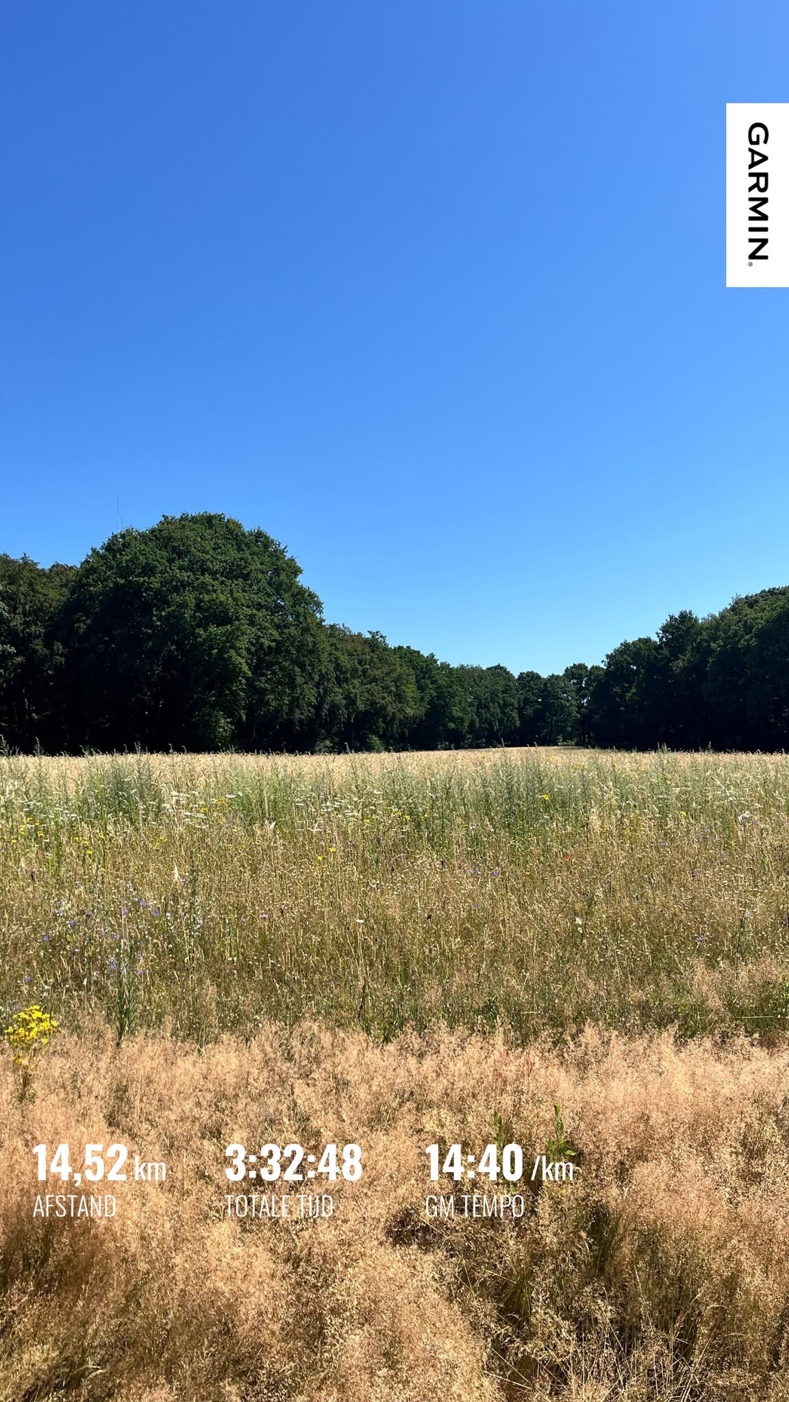 Rhenen