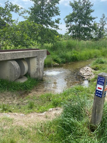 Wandelroute Rondje Renkums Beekdal
