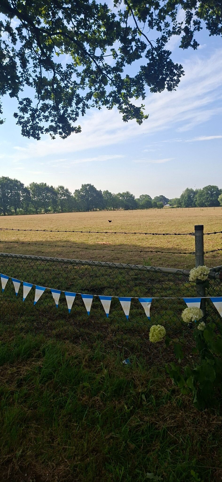 Renswoude Breeschoterpad