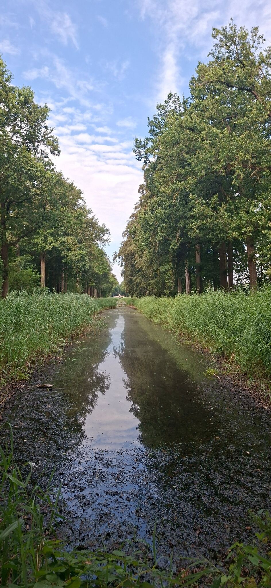 Foto van opname