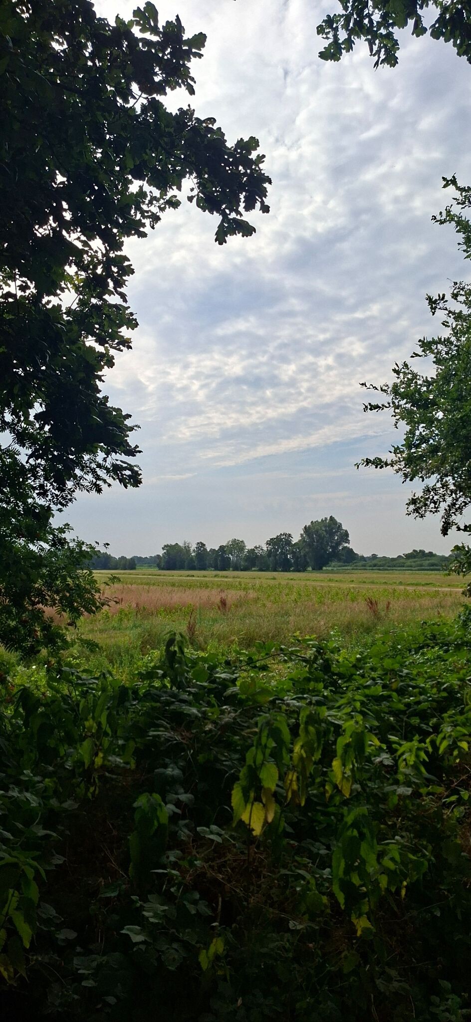 Foto van opname