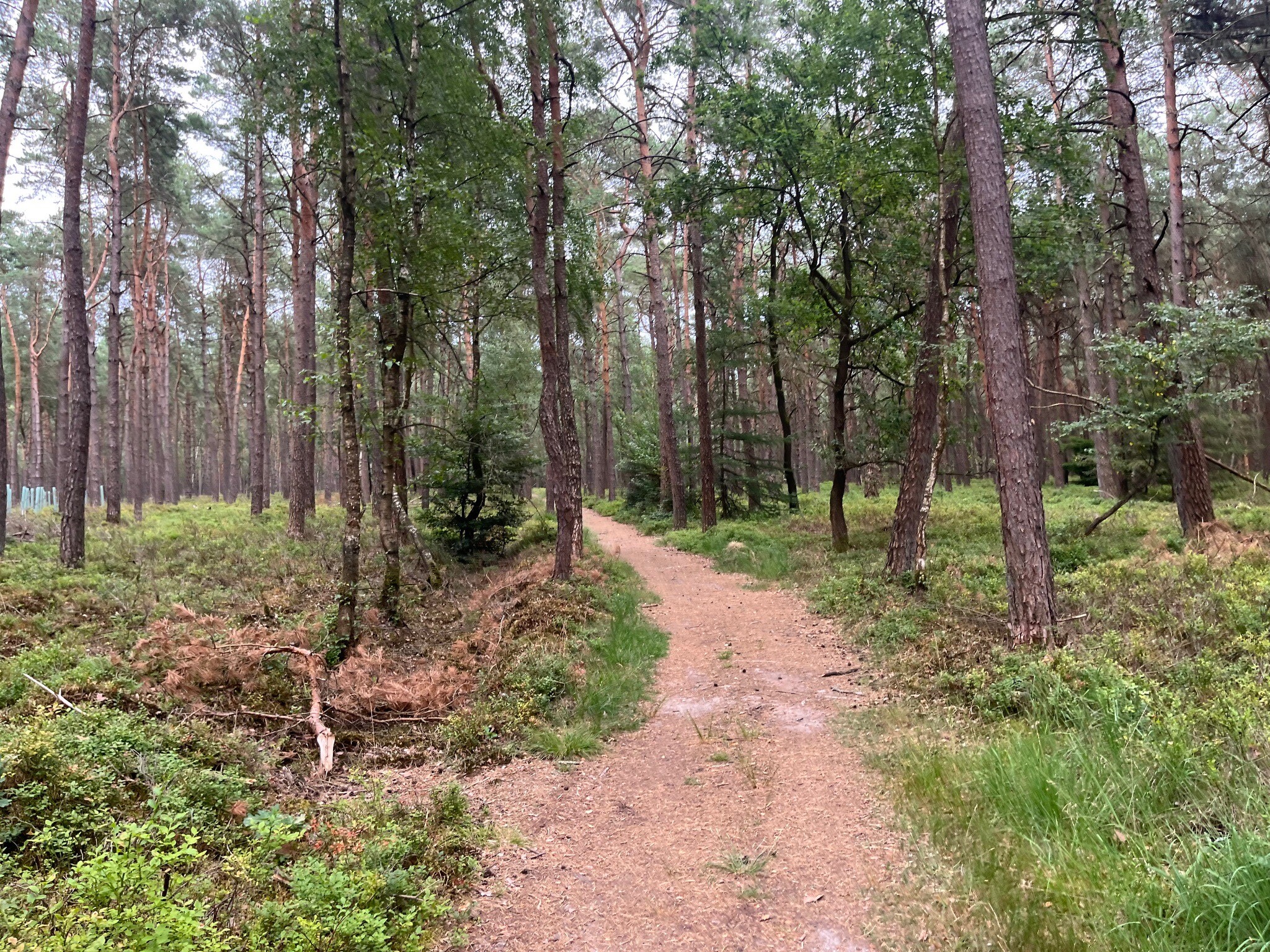 Hoenderloo - Loenen · Trekvogelpad etappe 18