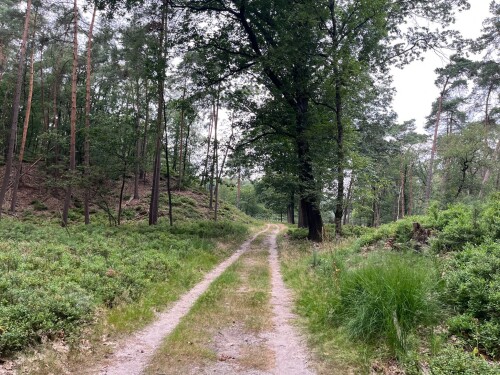 Hoenderloo - Loenen · Trekvogelpad etappe 18