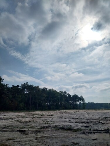 Fuut en uil wandeling