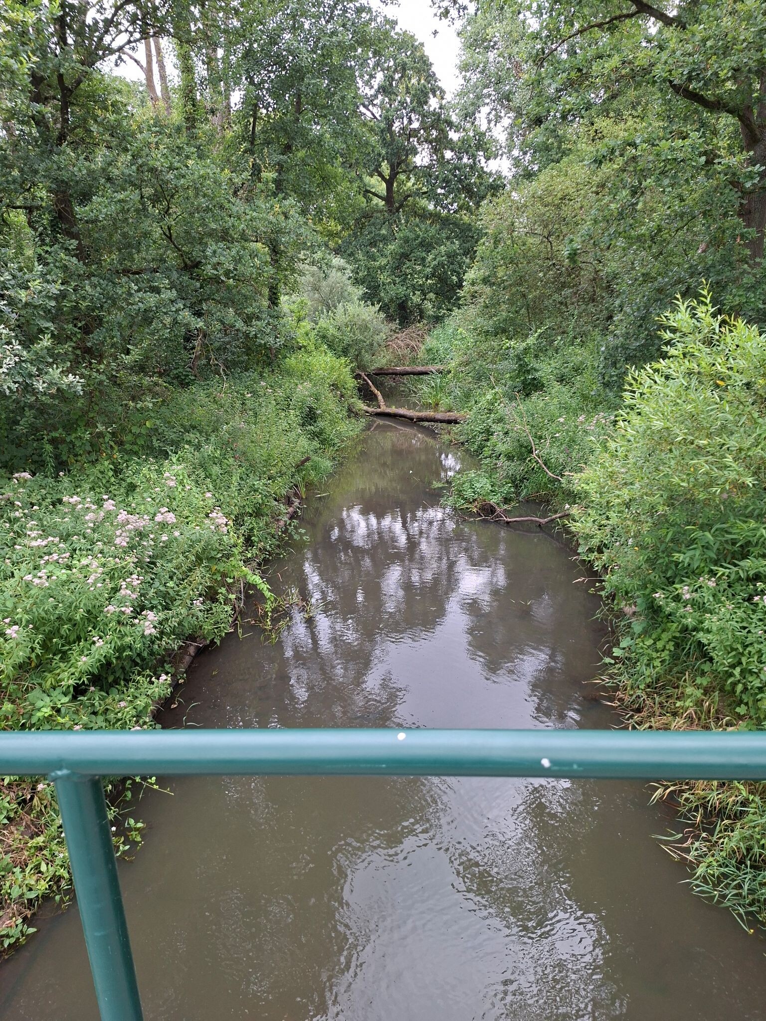 Wandelroute Logtsevelden aan de rand van de Kampina