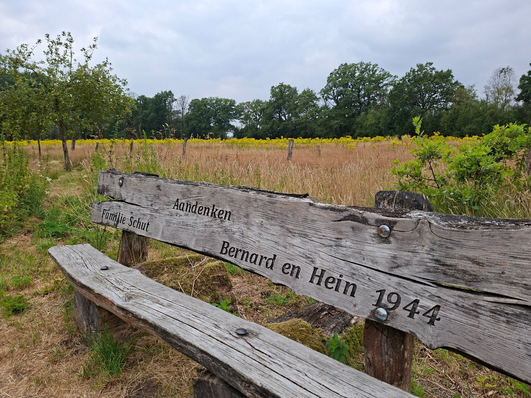 Wandelroute Logtsevelden aan de rand van de Kampina