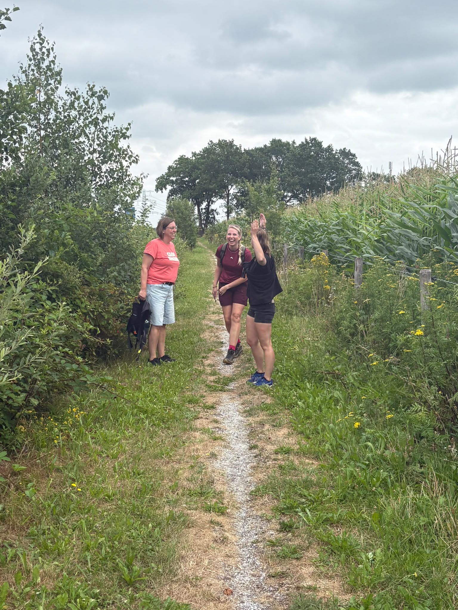 Etappe 18 Cultuurpad (Holsloot-Dalen)