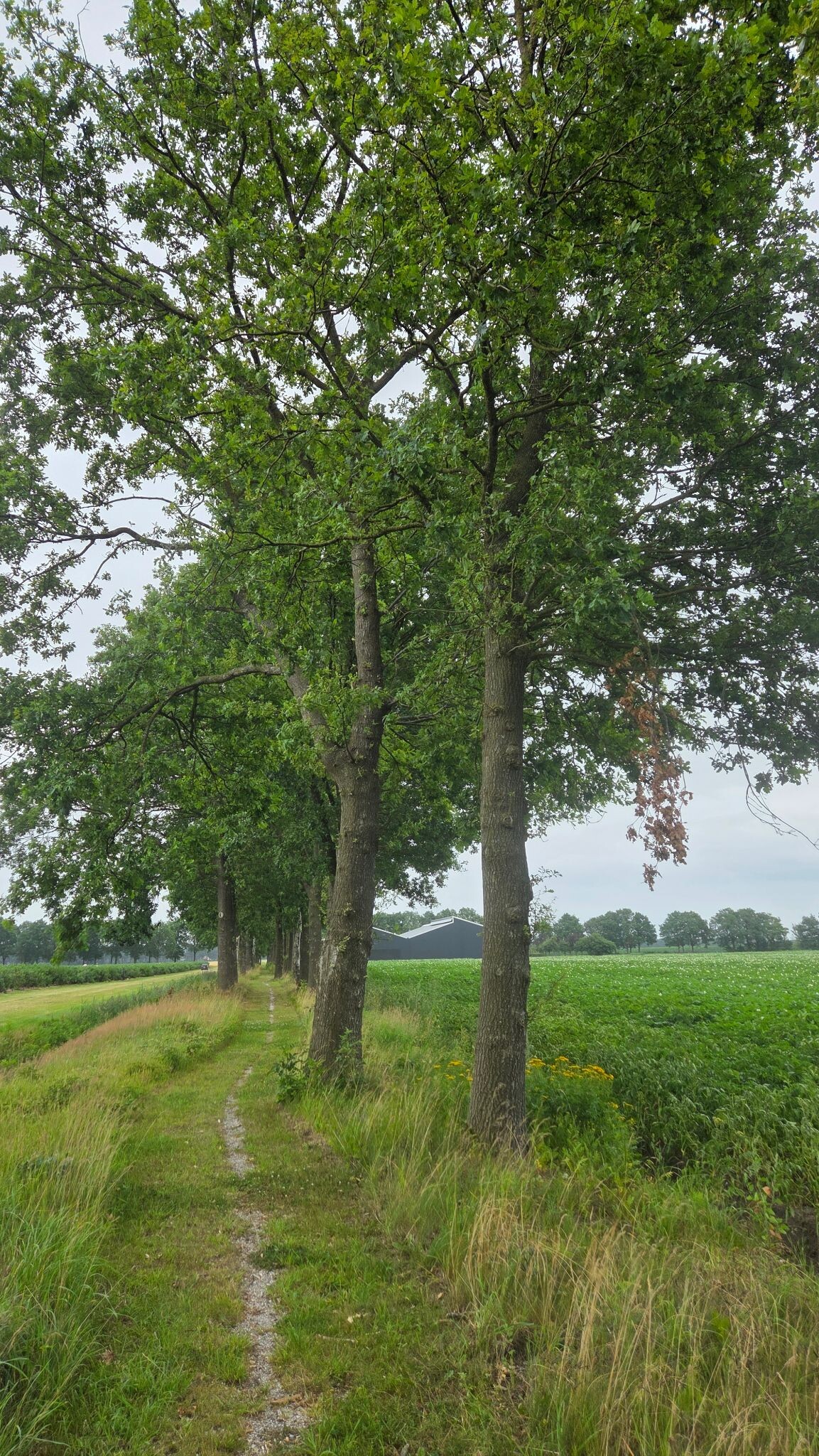 Foto van opname