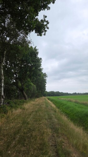 Holsloot - Dalen · Cultuurpad Coevorden etappe 18