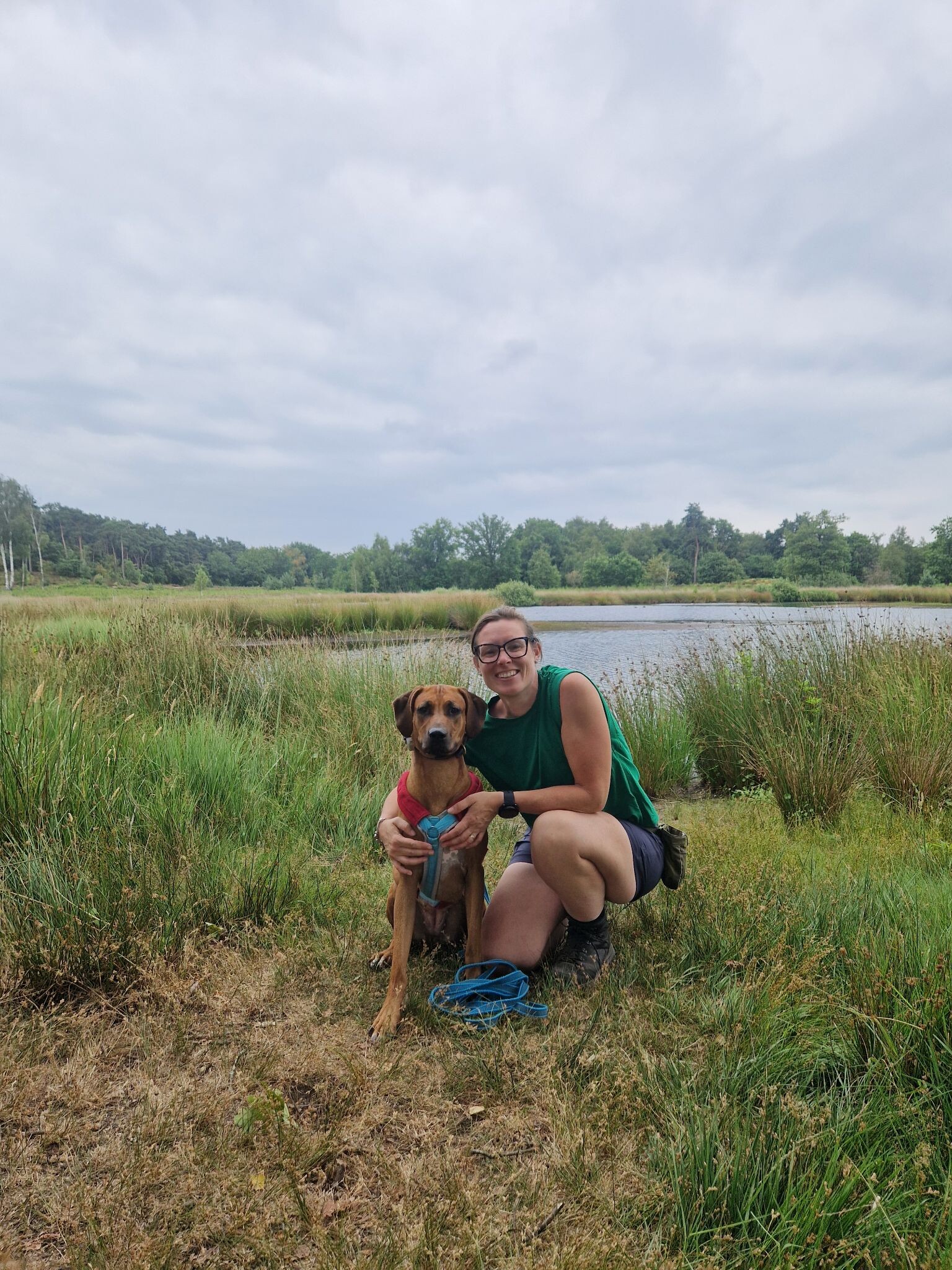 Wandelroute  Hatertse Vennen (geel)