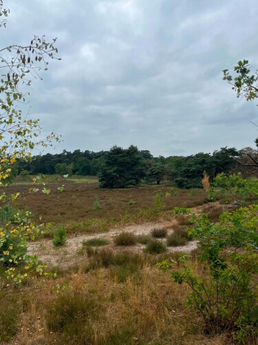 Wandelroute  Hatertse Vennen (geel)