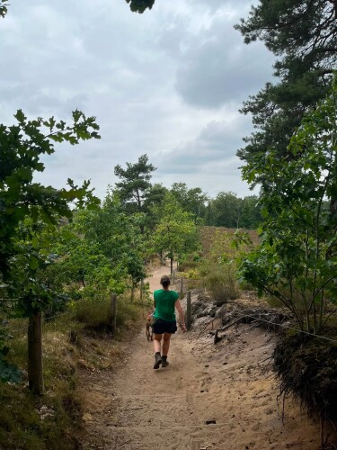Wandelroute  Hatertse Vennen (geel)