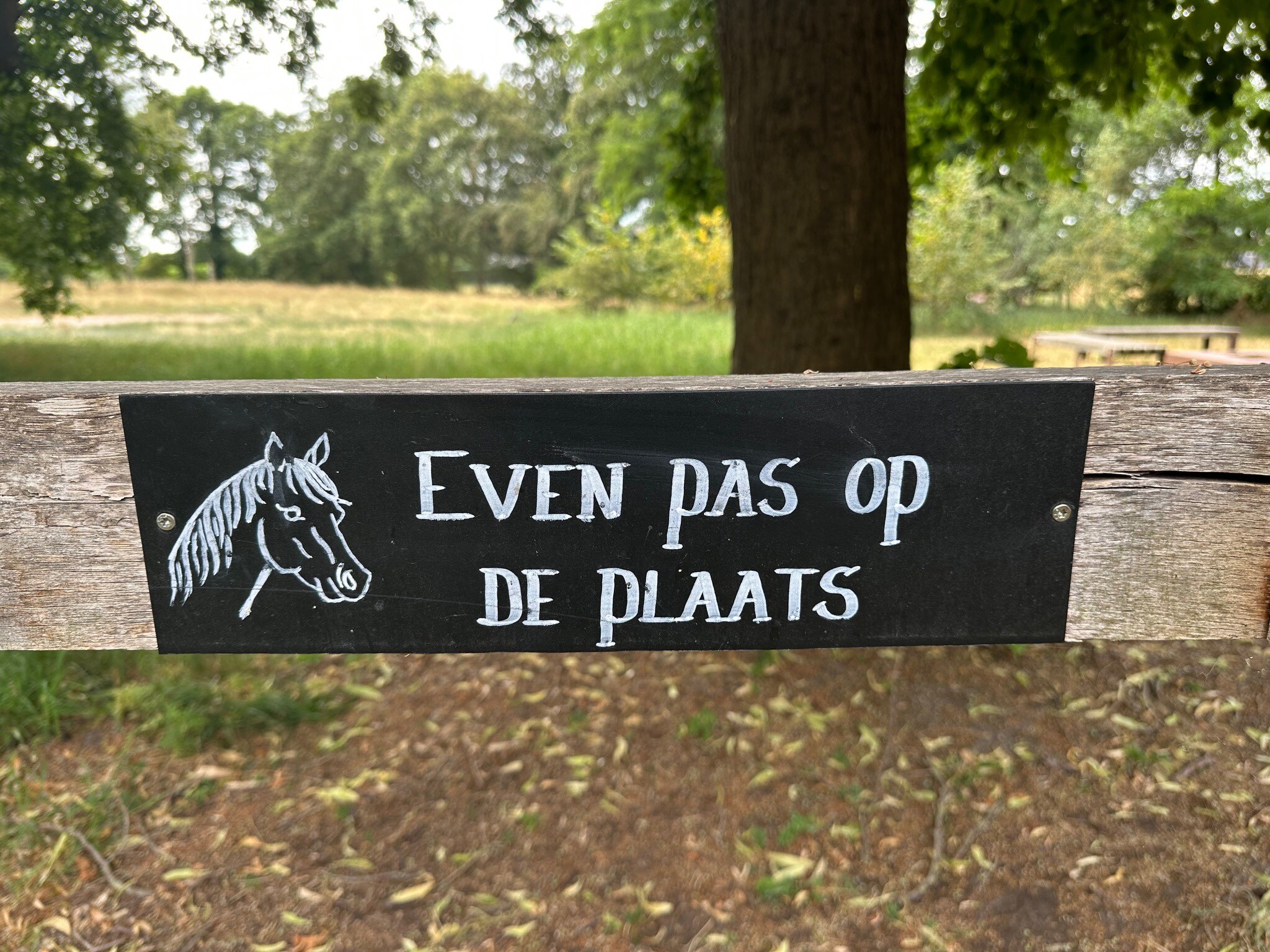 Foto van opname