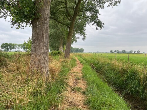 Trekvogelpad