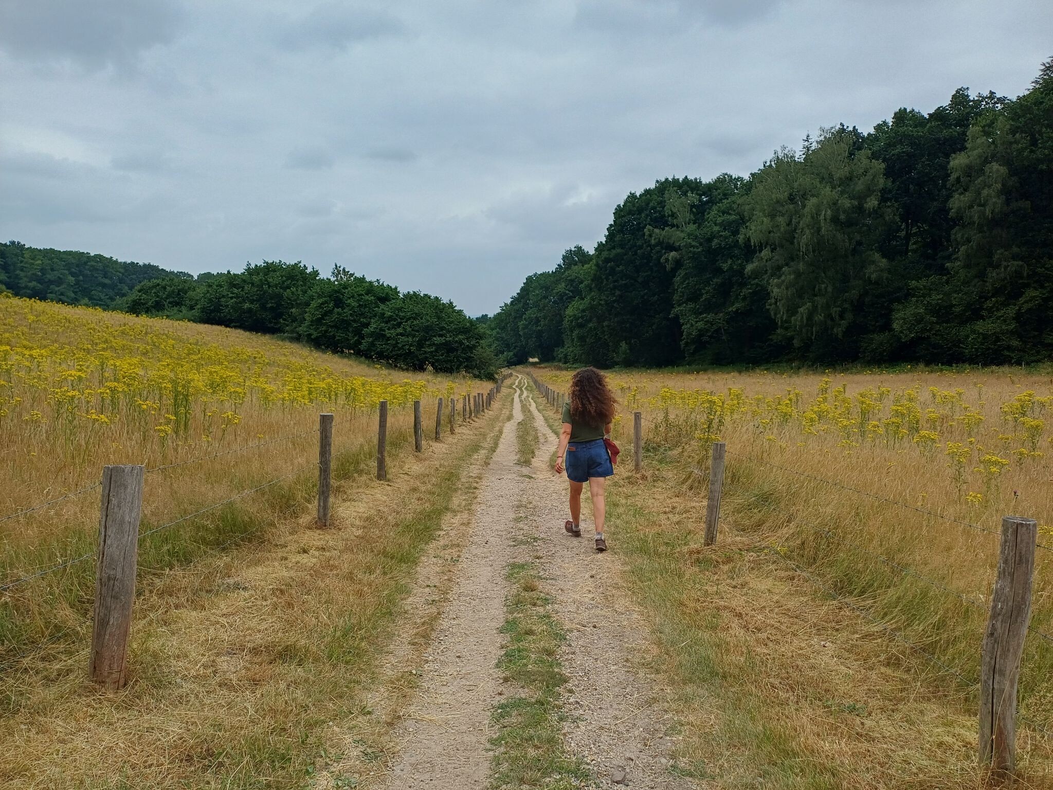 Foto van opname