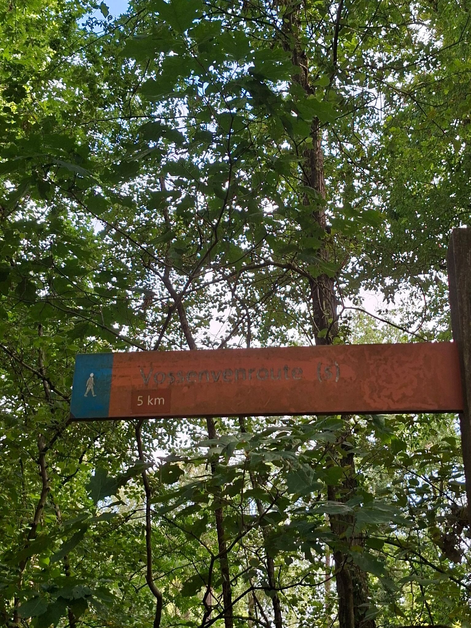 Schoonoord