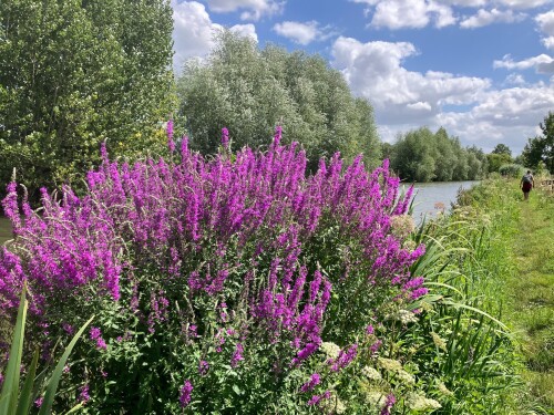 Woerden - IJsselstein · Groene Hartpad etappe 1