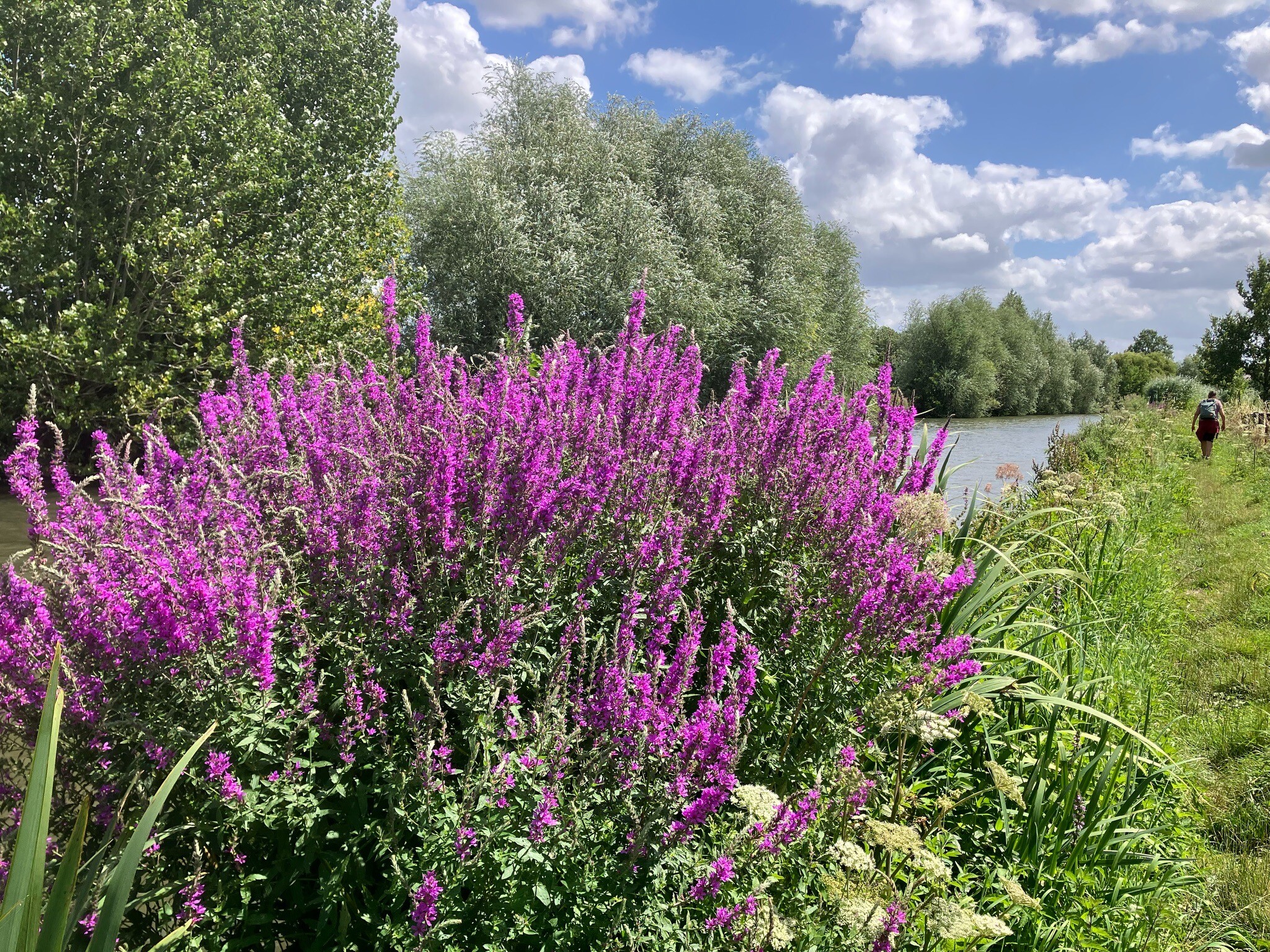 Hollandse IJsselpad