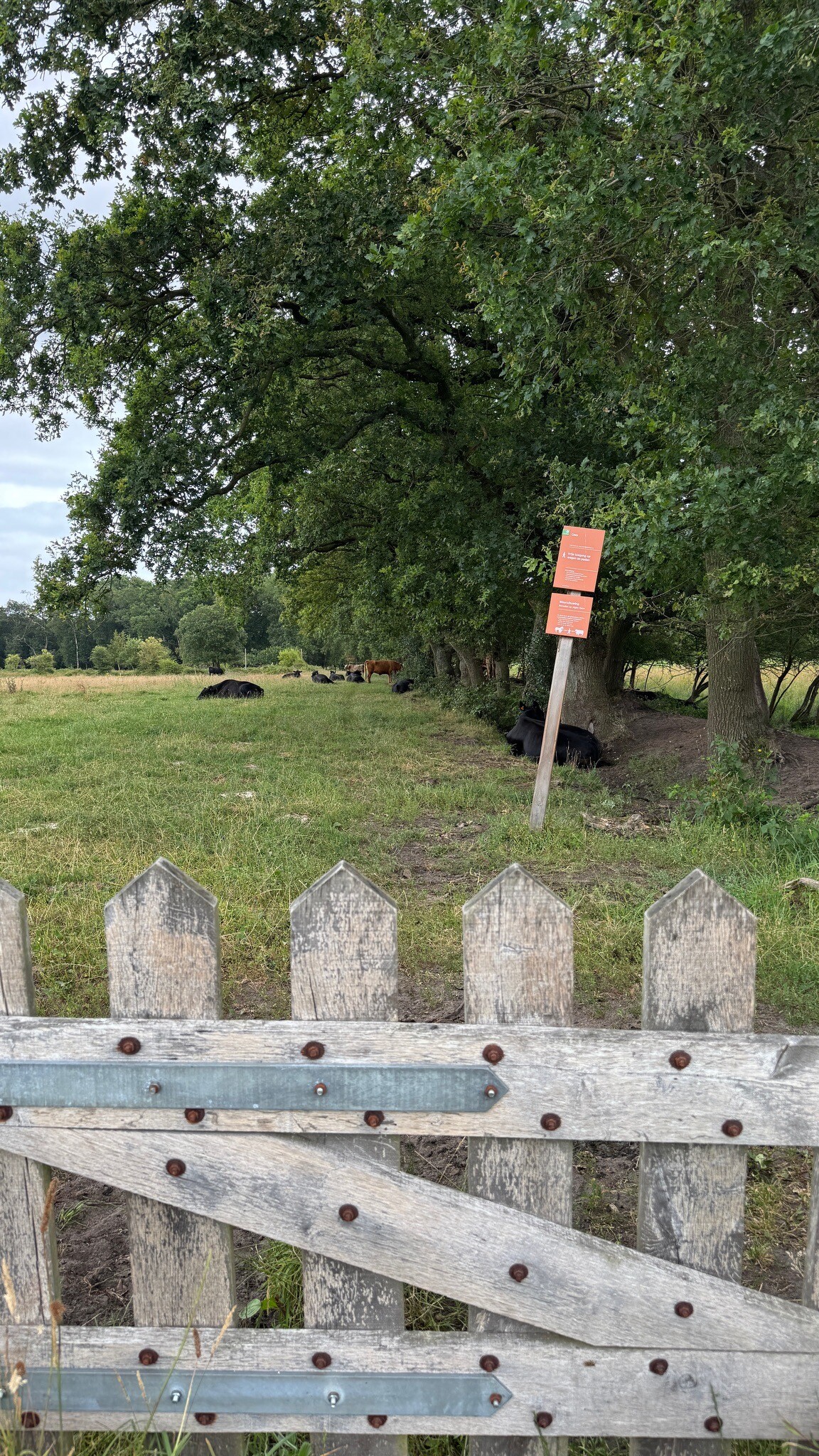 Meppen - Gees · Cultuurpad Coevorden etappe 3