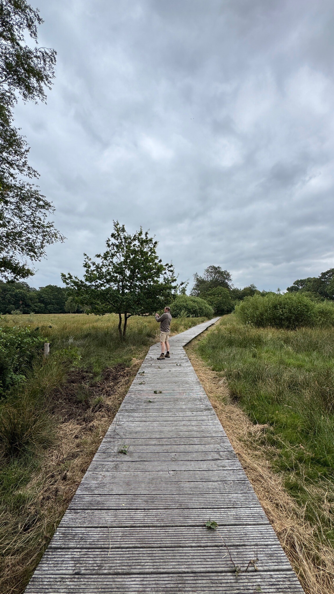 Meppen - Gees · Cultuurpad Coevorden etappe 3