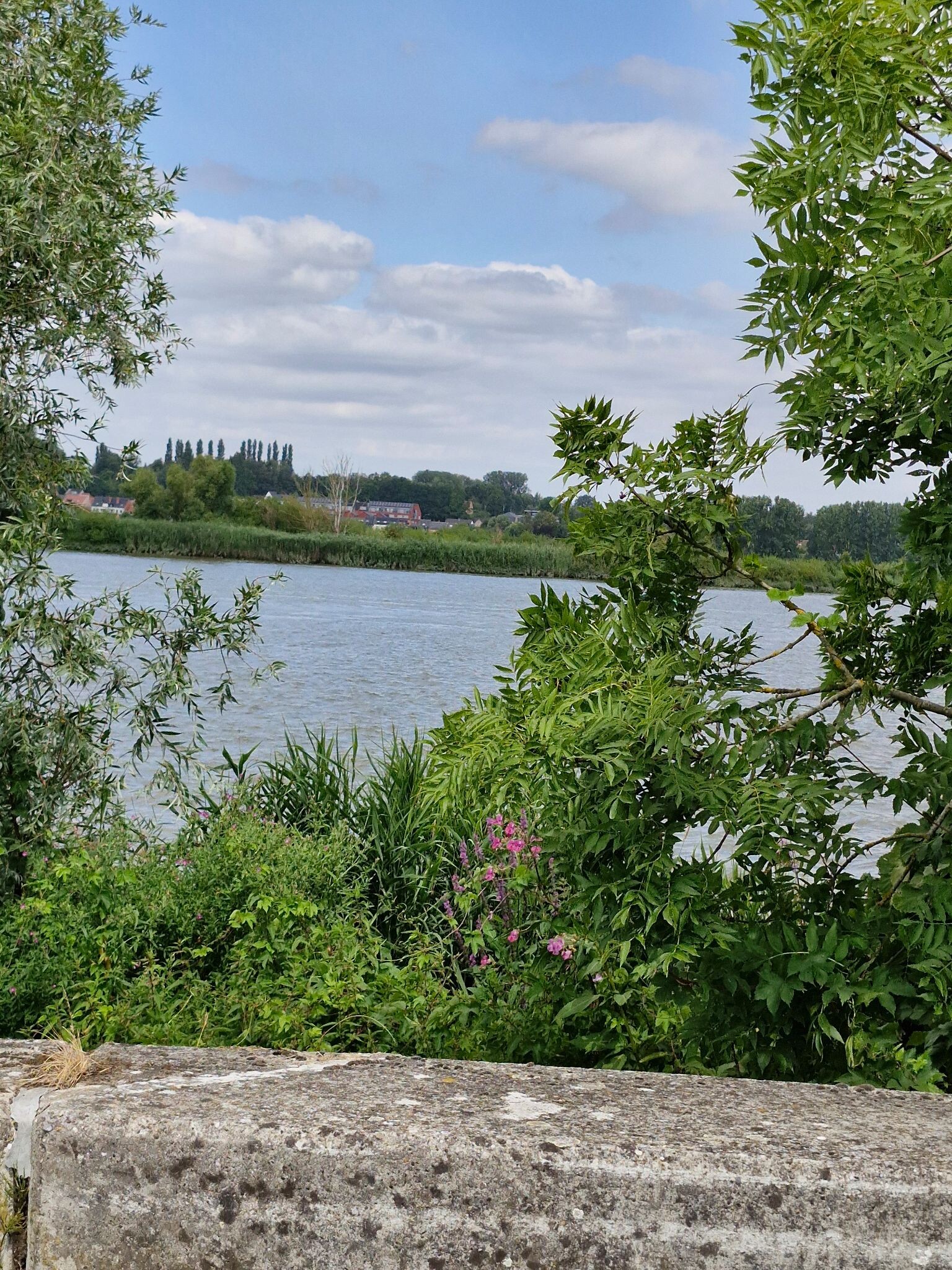 De Acht Van Weert Bornem