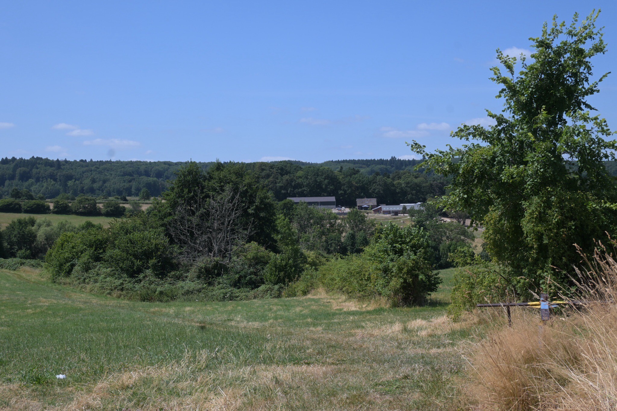 Vaals