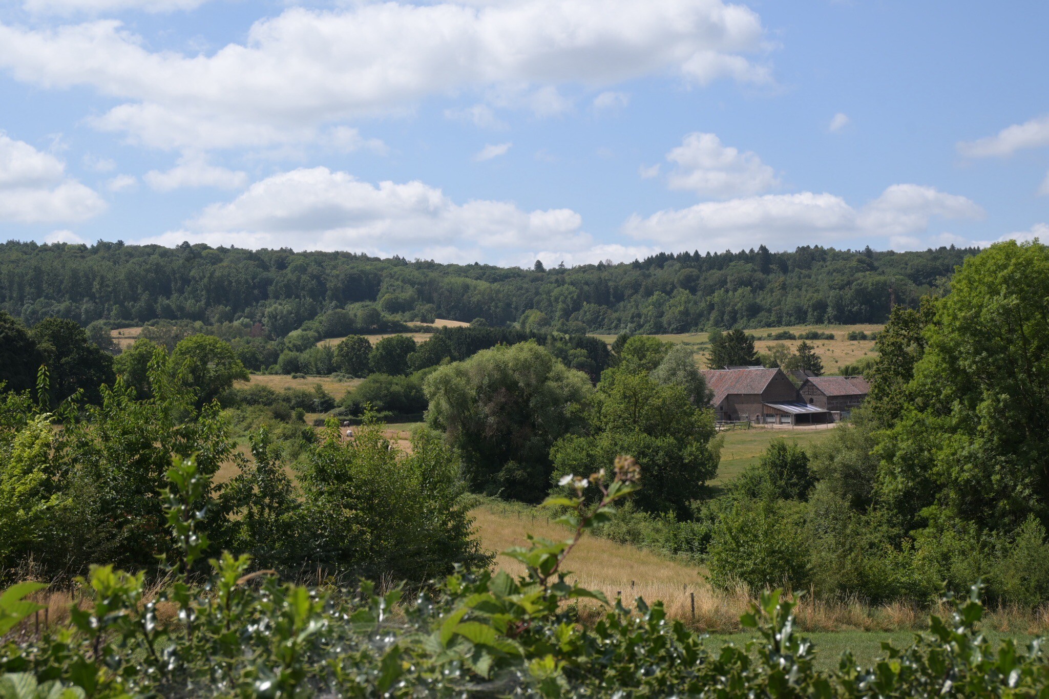 Vaals