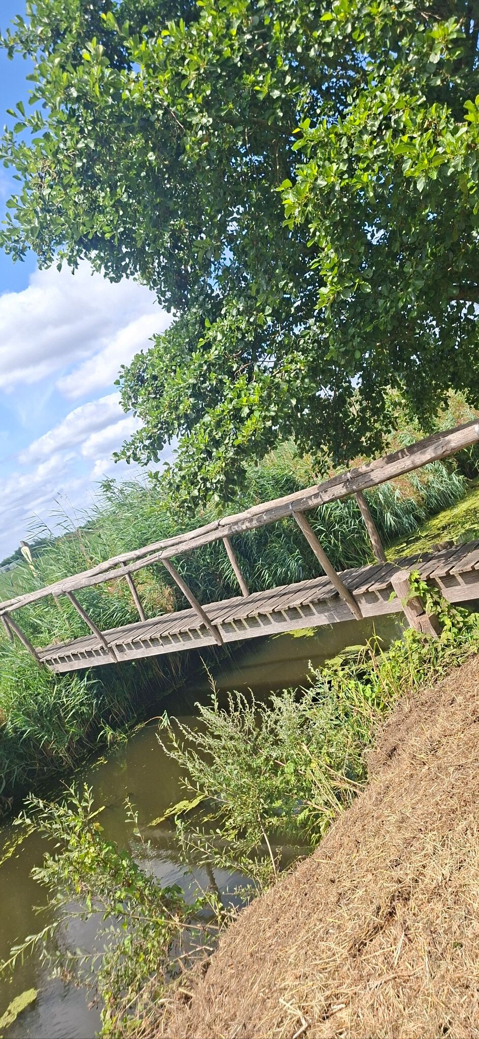 Leusden
