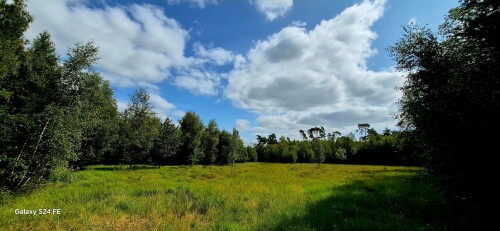 Drongengoedbos wandelroute