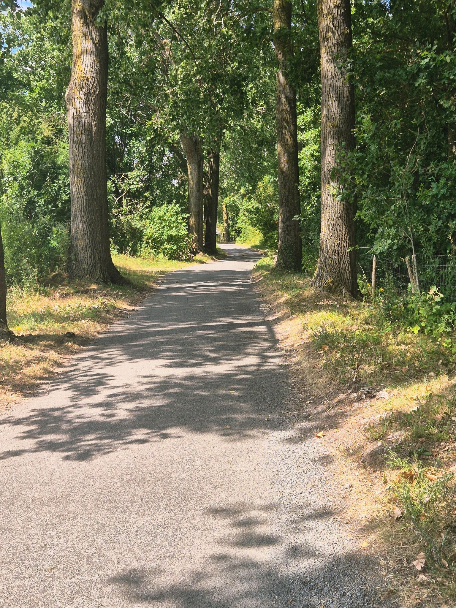 Orveytwandelroute
