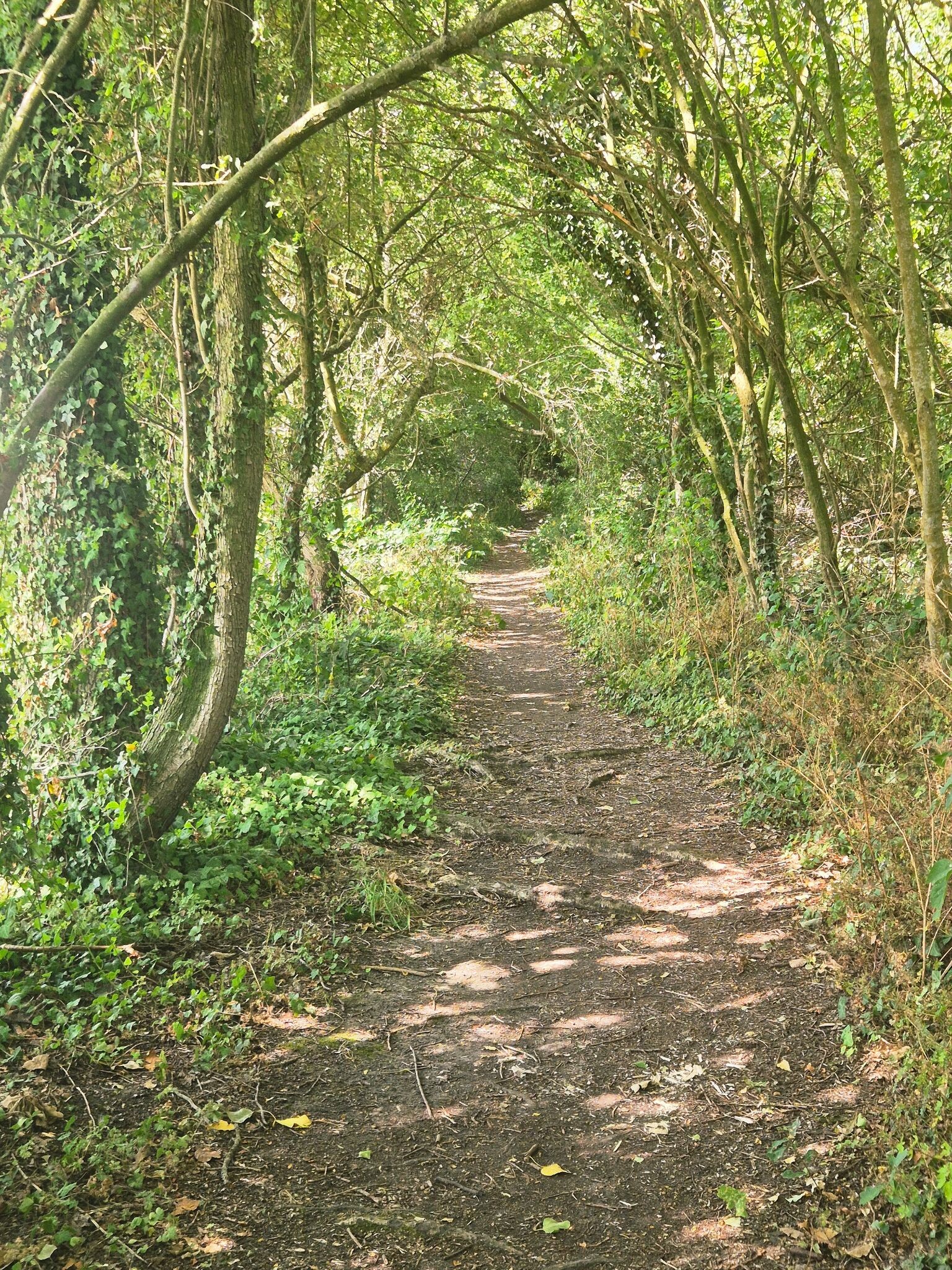 Orveytwandelroute