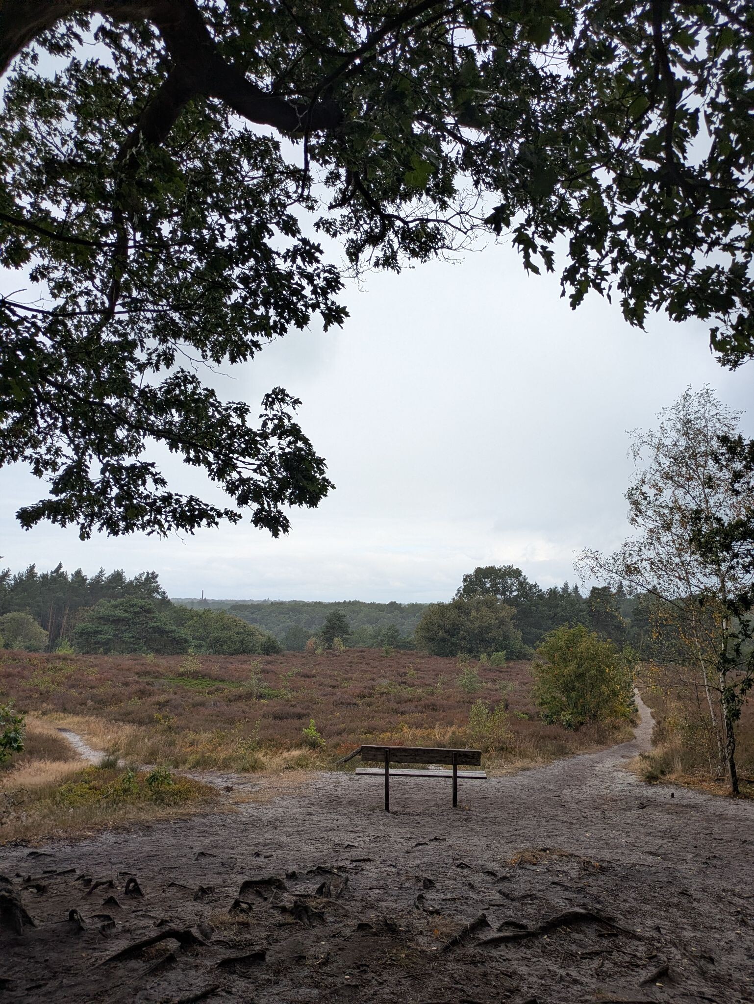 Ommen