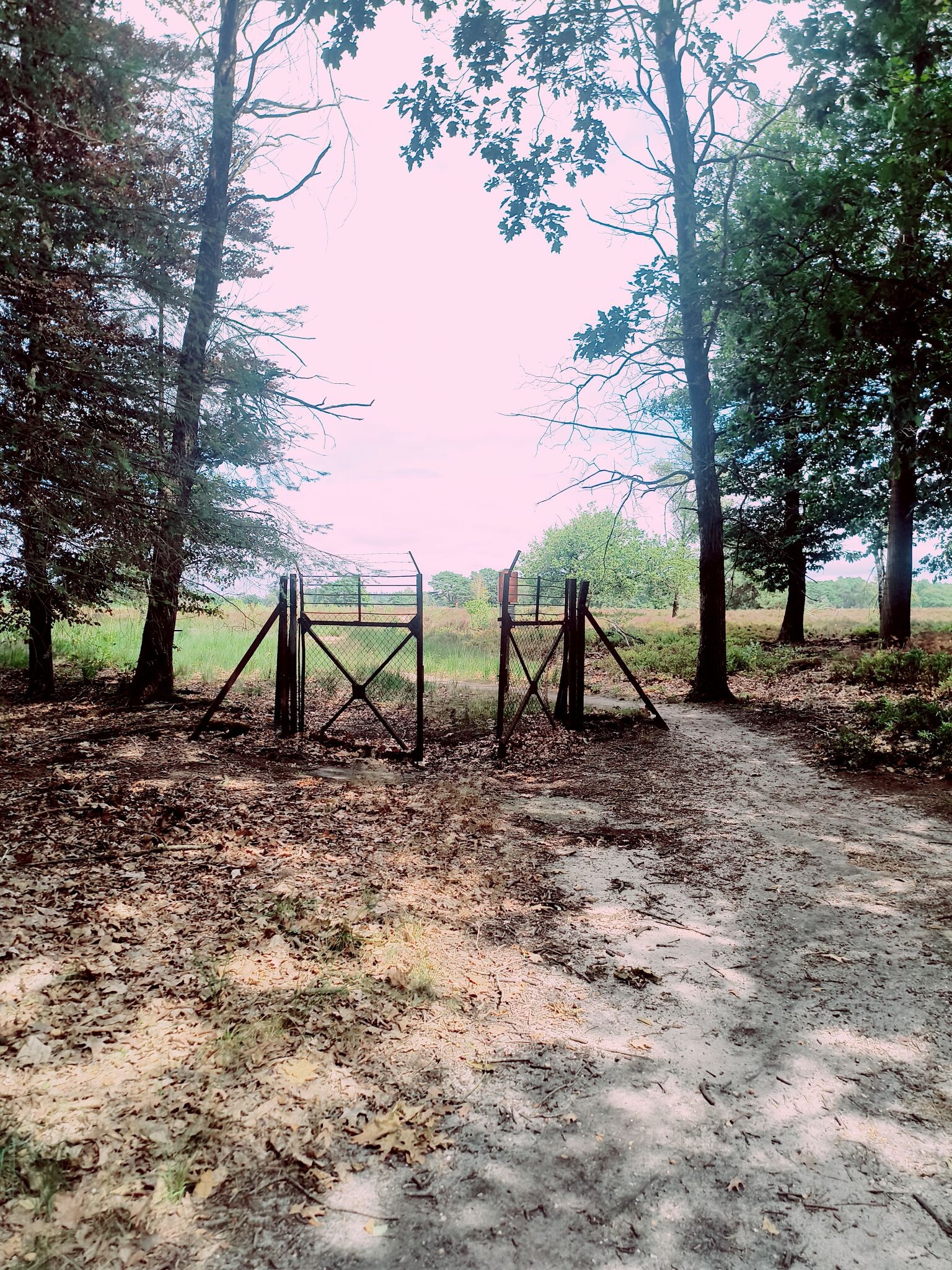 Wandelroute Noorderheide