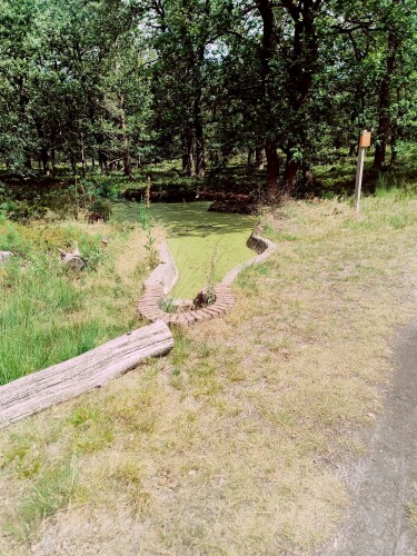 Wandelroute Noorderheide